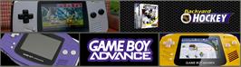 Arcade Cabinet Marquee for Backyard Hockey.