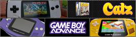 Arcade Cabinet Marquee for Catz.