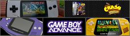 Arcade Cabinet Marquee for Crash Bandicoot: The Huge Adventure.