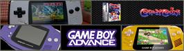 Arcade Cabinet Marquee for Crazy Chase.