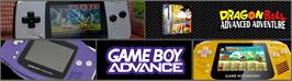 Arcade Cabinet Marquee for Dragonball: Advanced Adventure.