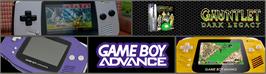 Arcade Cabinet Marquee for Gauntlet - Dark Legacy.