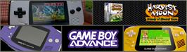 Arcade Cabinet Marquee for Harvest Moon - Friends Of Mineral Town.