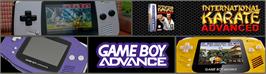 Arcade Cabinet Marquee for International Karate Advanced.