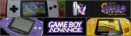 Arcade Cabinet Marquee for Legend Of Spyro - A New Beginning, The.