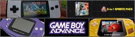 Arcade Cabinet Marquee for Majesco's Sports Pack.