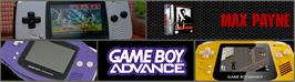 Arcade Cabinet Marquee for Max Payne.