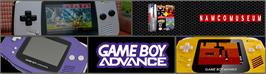 Arcade Cabinet Marquee for Namco Museum.