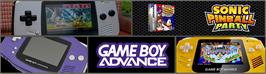 Arcade Cabinet Marquee for Sonic Pinball Party.