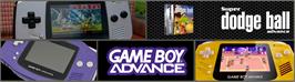 Arcade Cabinet Marquee for Super Dodge Ball Advance.