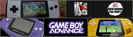 Arcade Cabinet Marquee for Tiger Woods Pga Tour Golf.