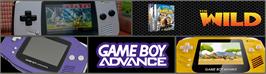 Arcade Cabinet Marquee for Wild, The.