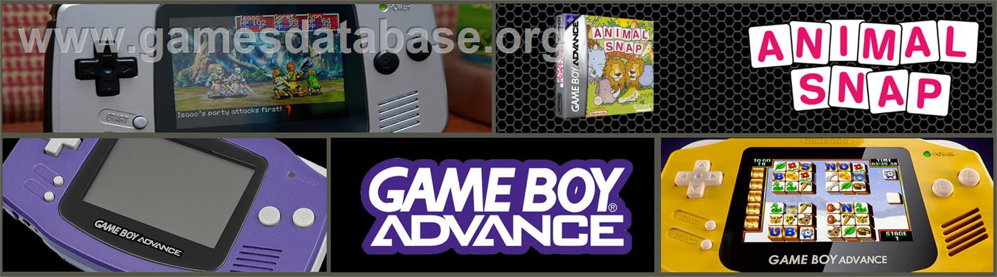 Animal Snap - Rescue Them 2 By 2 - Nintendo Game Boy Advance - Artwork - Marquee