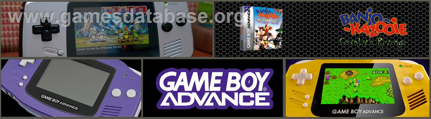 Banjo-Kazooie: Grunty's Revenge - Nintendo Game Boy Advance - Artwork - Marquee