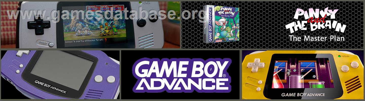 Pinky And The Brain - The Masterplan - Nintendo Game Boy Advance - Artwork - Marquee