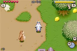 In game image of Barnyard on the Nintendo Game Boy Advance.