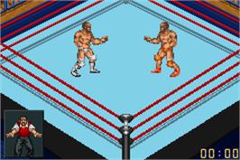 In game image of Fire Pro Wrestling 2 on the Nintendo Game Boy Advance.