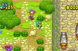 In game image of Frogger's Adventures: Temple of the Frog on the Nintendo Game Boy Advance.