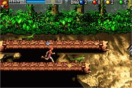 In game image of Jurassic Park III: The DNA Factor on the Nintendo Game Boy Advance.