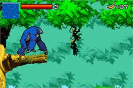 In game image of Kong - The Animated Series on the Nintendo Game Boy Advance.