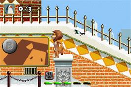 In game image of Madagascar on the Nintendo Game Boy Advance.