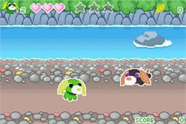 In game image of Ochaken No Bouken-jima - Honwaka Yume No Island on the Nintendo Game Boy Advance.
