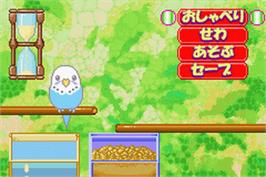 In game image of Oshaberi Inko Club on the Nintendo Game Boy Advance.