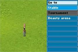 In game image of Pferd and Pony: Best Friends - Mein Pferd on the Nintendo Game Boy Advance.