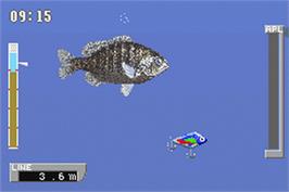 In game image of Punching Bags on the Nintendo Game Boy Advance.