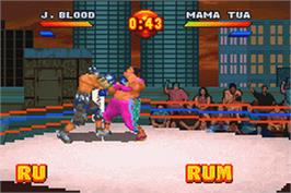 In game image of Ready 2 Rumble Boxing: Round 2 on the Nintendo Game Boy Advance.