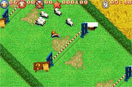 In game image of Sheep on the Nintendo Game Boy Advance.