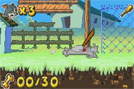 In game image of Tom And Jerry In Infurnal Escape on the Nintendo Game Boy Advance.