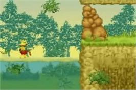 In game image of Ty The Tasmanian Tiger 2 - Bush Rescue on the Nintendo Game Boy Advance.