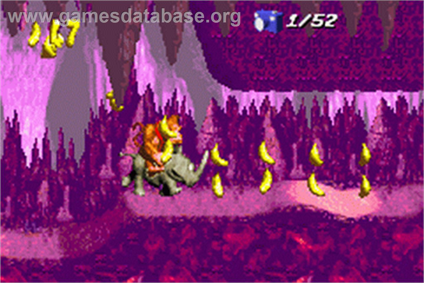 Donkey Kong Junior - Nintendo Game Boy Advance - Artwork - In Game