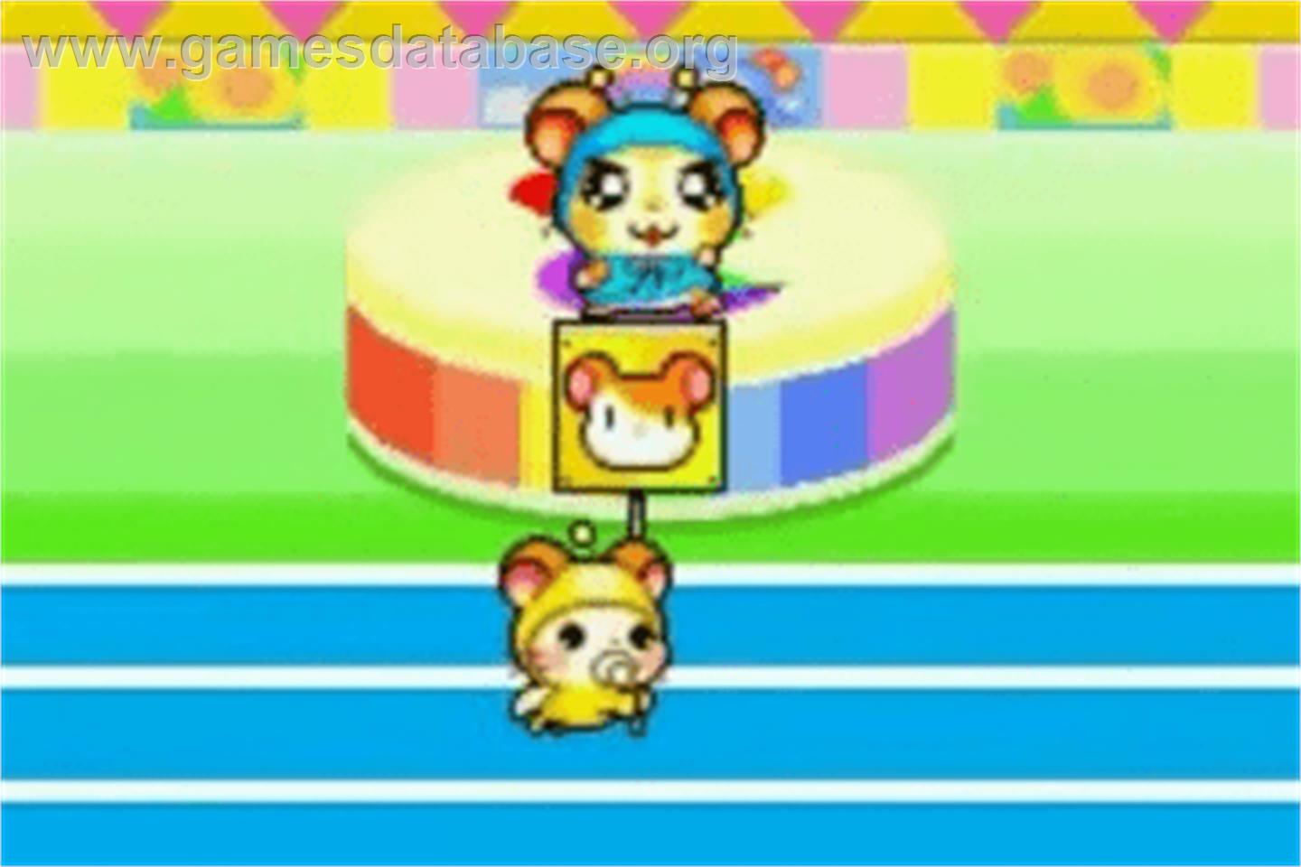 Hamtaro - Ham-ham Games - Nintendo Game Boy Advance - Artwork - In Game