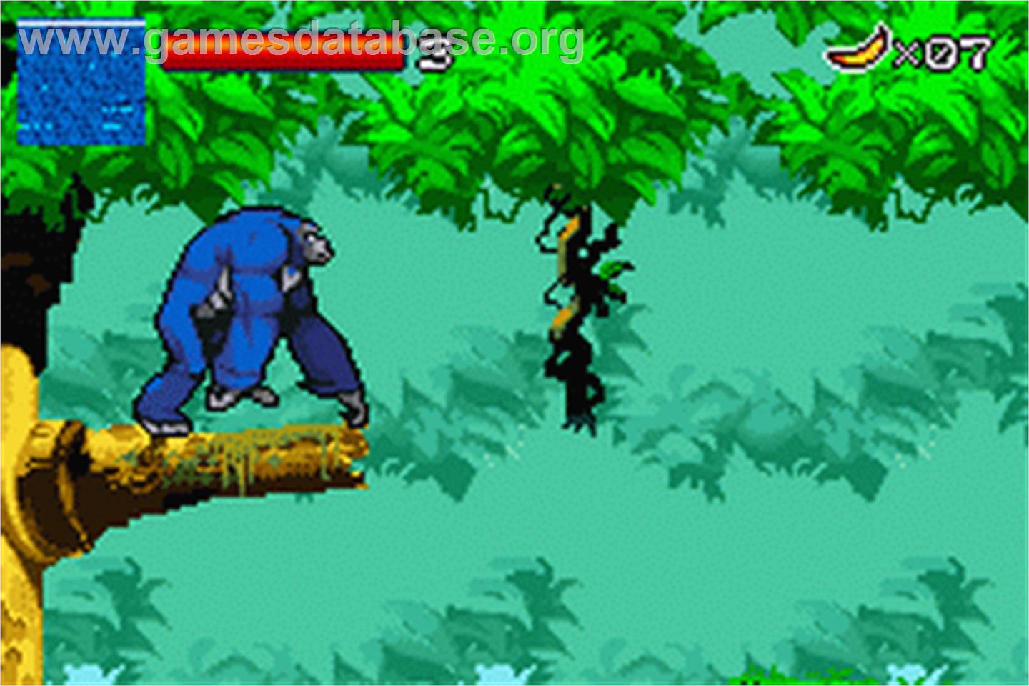 Kong - The Animated Series - Nintendo Game Boy Advance - Artwork - In Game