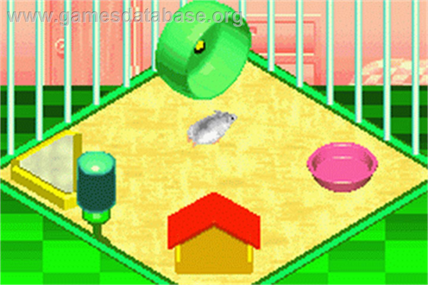 Nakayoshi Pet Advance Series 1 - Kawaii Hamster - Nintendo Game Boy Advance - Artwork - In Game