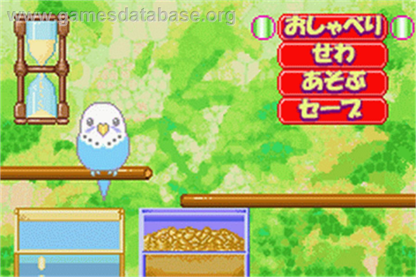 Oshaberi Inko Club - Nintendo Game Boy Advance - Artwork - In Game
