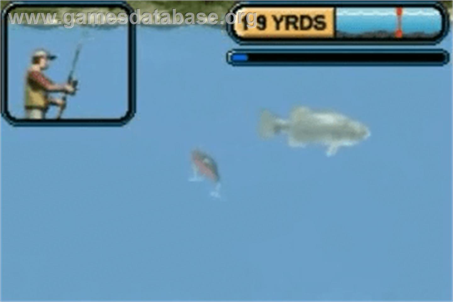 Rapala Pro Fishing - Nintendo Game Boy Advance - Artwork - In Game
