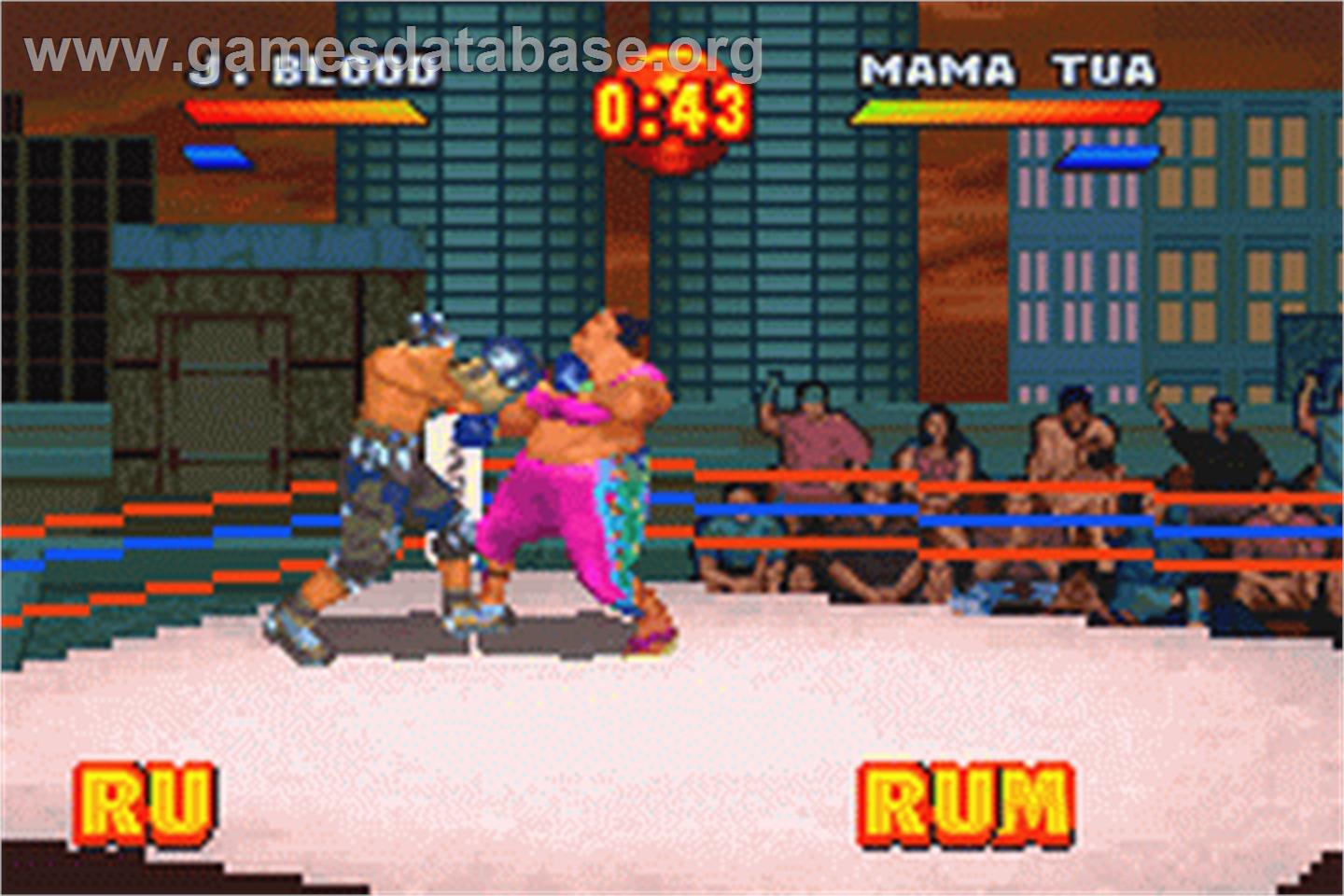 Ready 2 Rumble Boxing Round 2 - Nintendo Game Boy Advance - Artwork - In Game