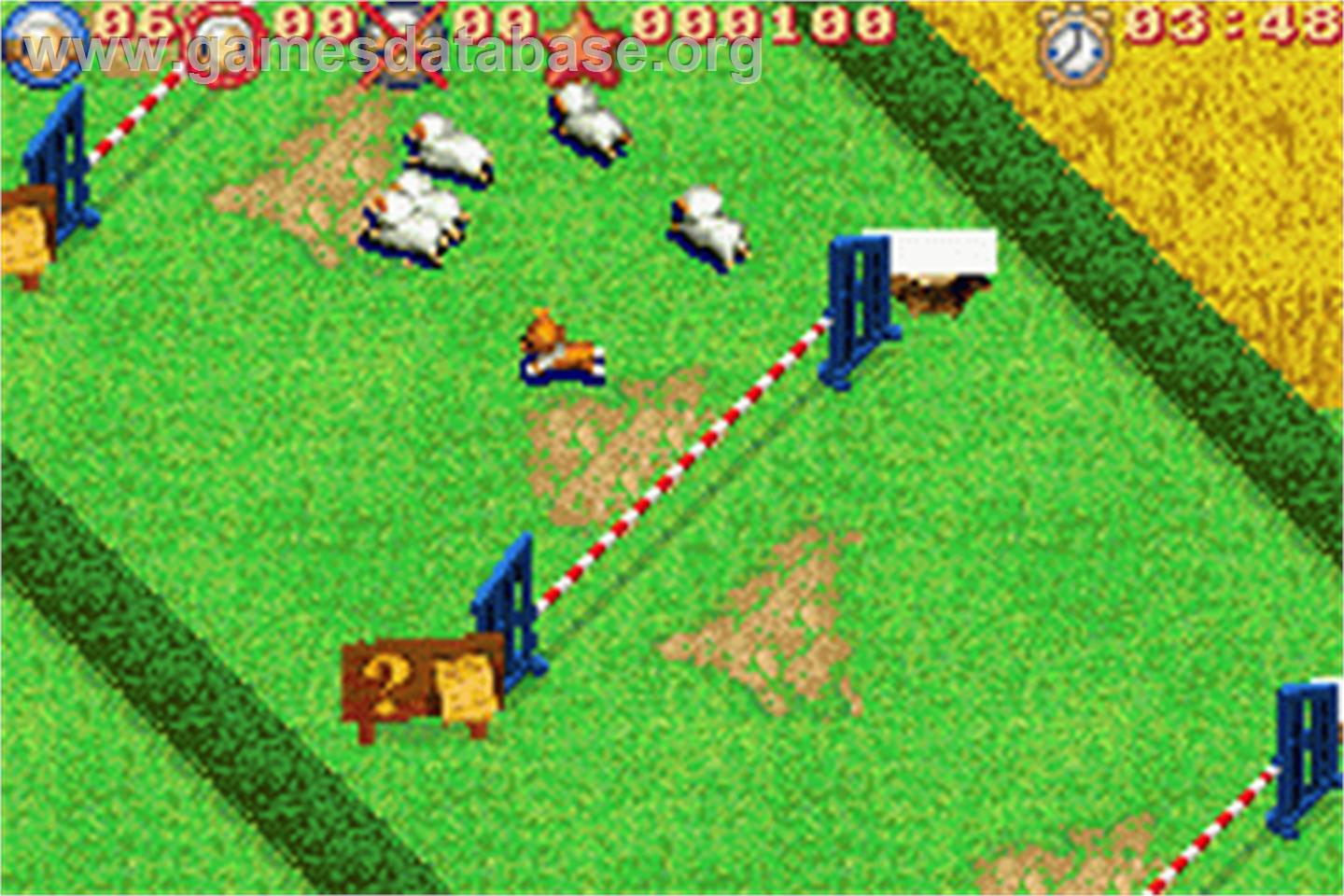 Sheep - Nintendo Game Boy Advance - Artwork - In Game