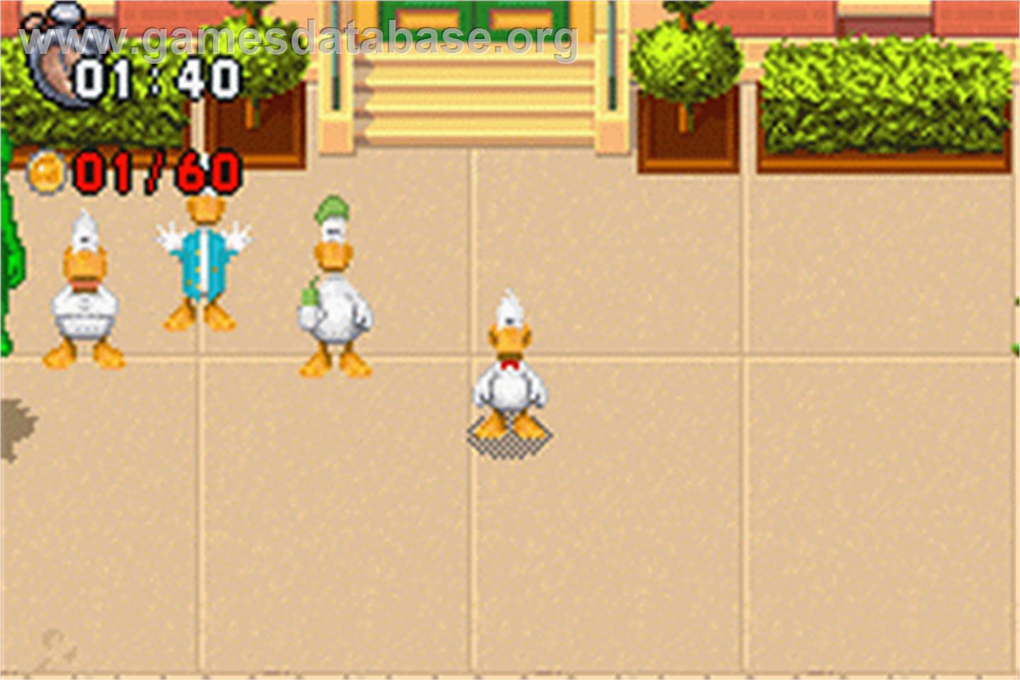 Sitting Ducks - Nintendo Game Boy Advance - Artwork - In Game