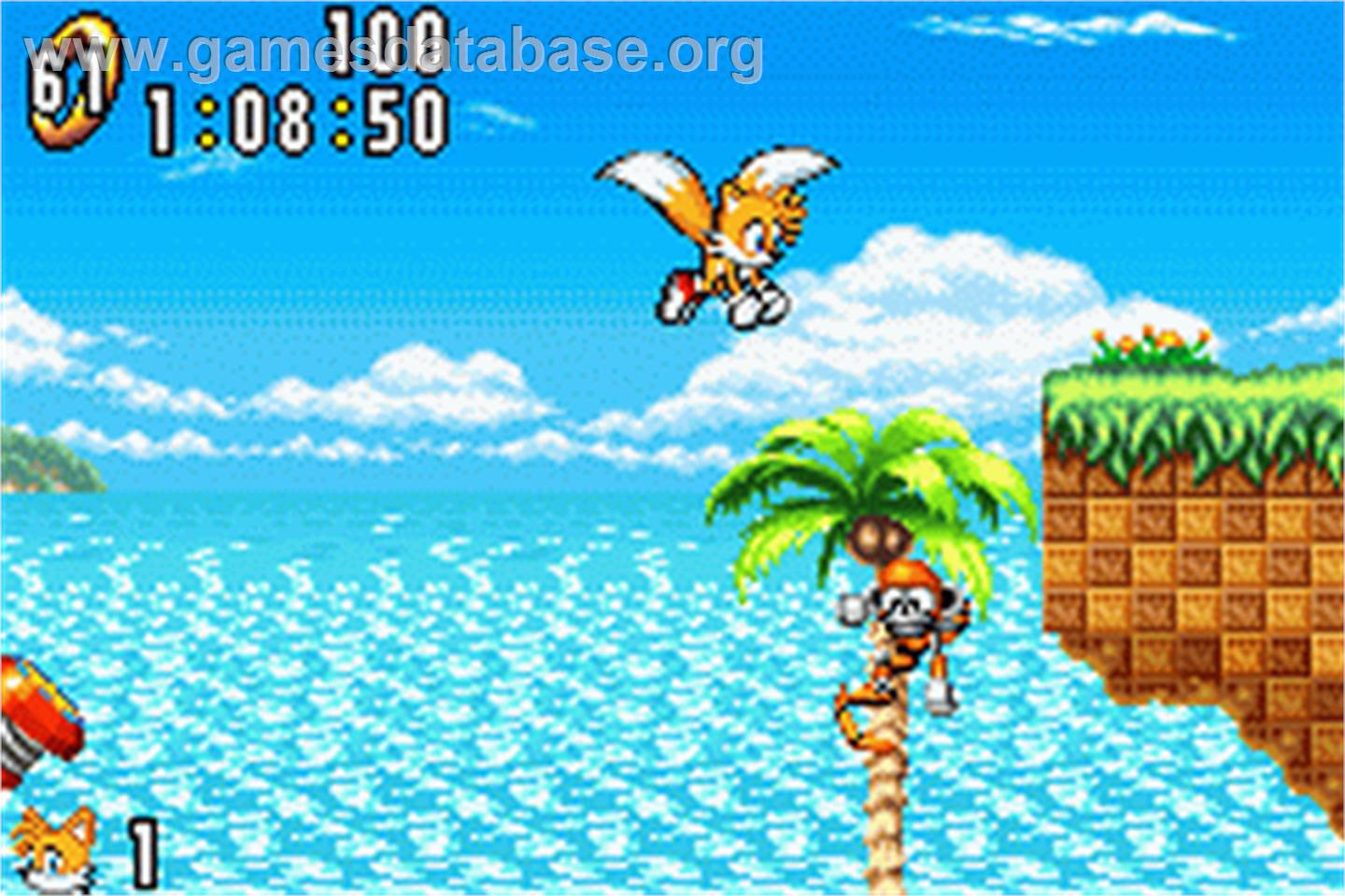 Sonic Advance - Nintendo Game Boy Advance - Artwork - In Game