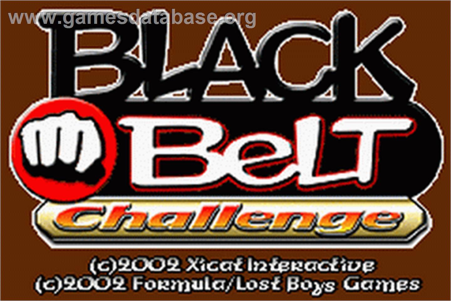 Black Belt Challenge - Nintendo Game Boy Advance - Artwork - Title Screen