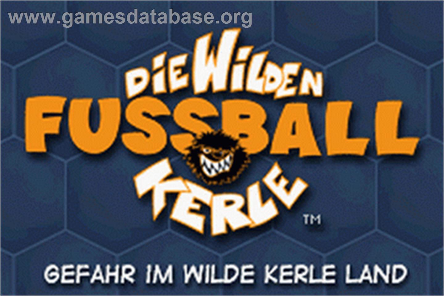 Wilden Fussball-kerle, Die - Gefahr Im Wilde Kerle Land - Nintendo Game Boy Advance - Artwork - Title Screen