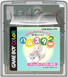 Cartridge artwork for Nakayoshi Pet Series 5 - Kawaii Hamster 2 on the Nintendo Game Boy Color.