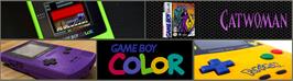Arcade Cabinet Marquee for Catwoman.