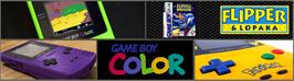 Arcade Cabinet Marquee for Flipper And Lopaka.