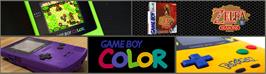 Arcade Cabinet Marquee for Legend Of Zelda - Oracle Of Seasons, The.