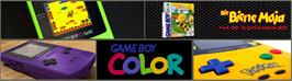 Arcade Cabinet Marquee for Maya the Bee - Garden Adventures.